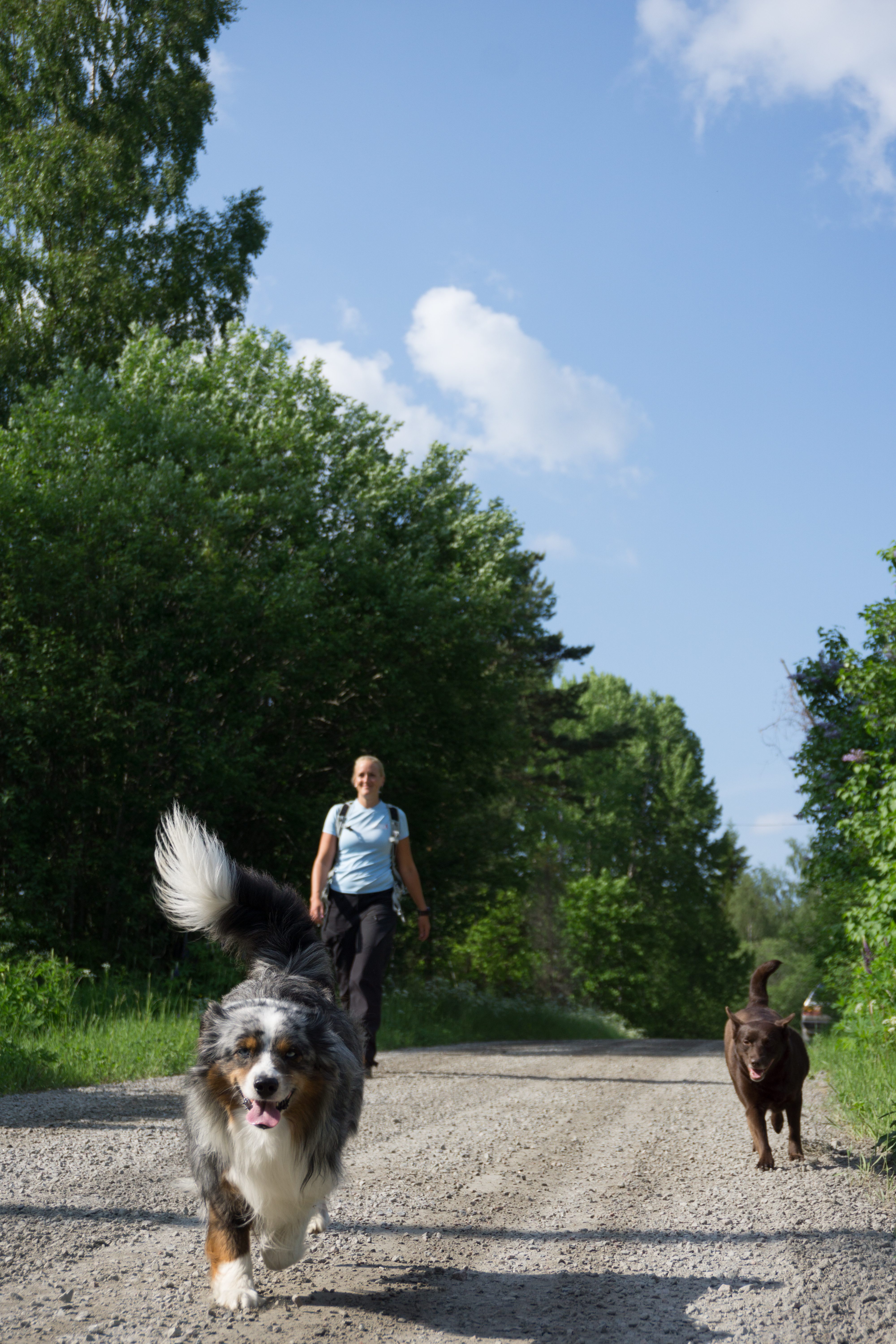 kolarmora-vandrare-foto-gunnika-dsc01685