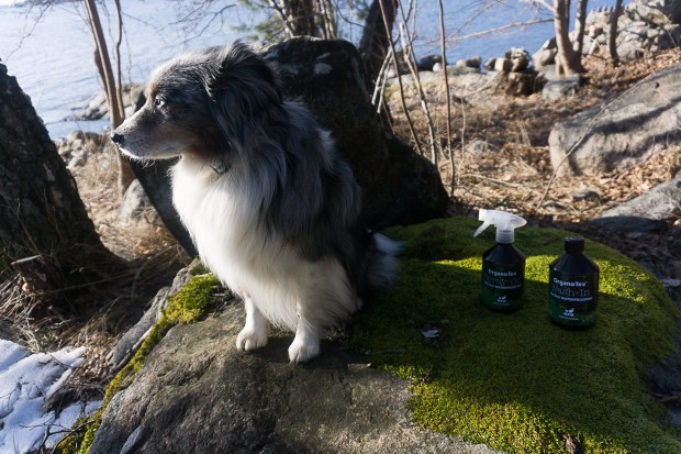 Organotex Foto Gunnika-05741