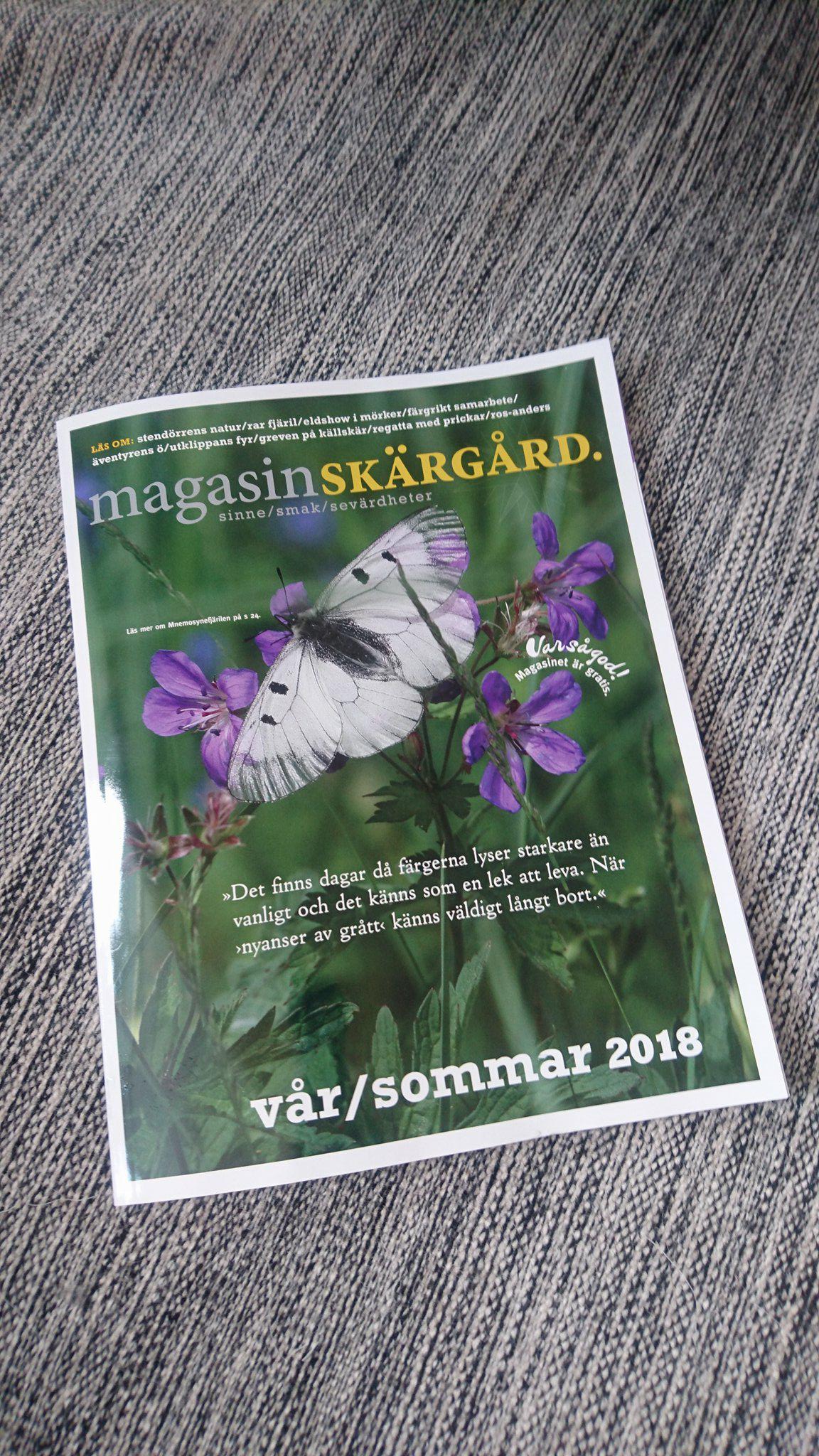 30728496_10160196497180623_6146998039174184960_n