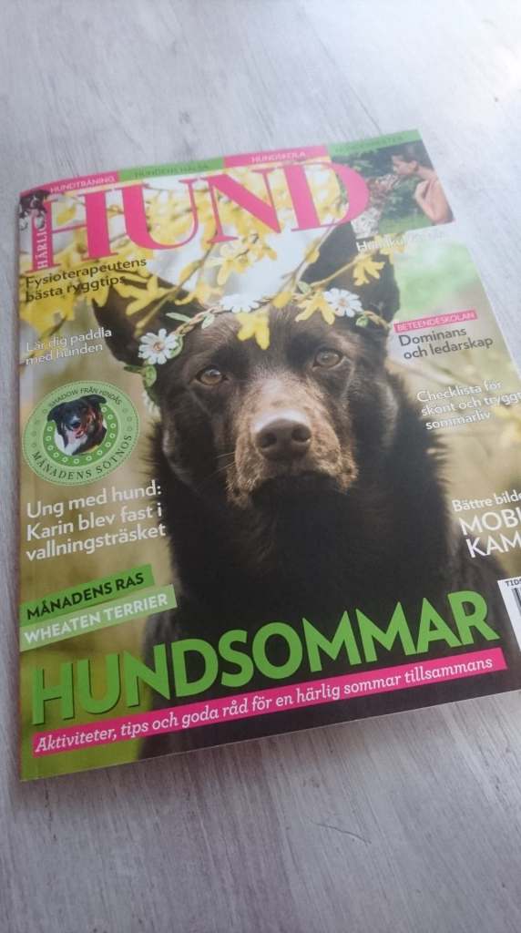 36003242_10160465712805623_8199441542746734592_n