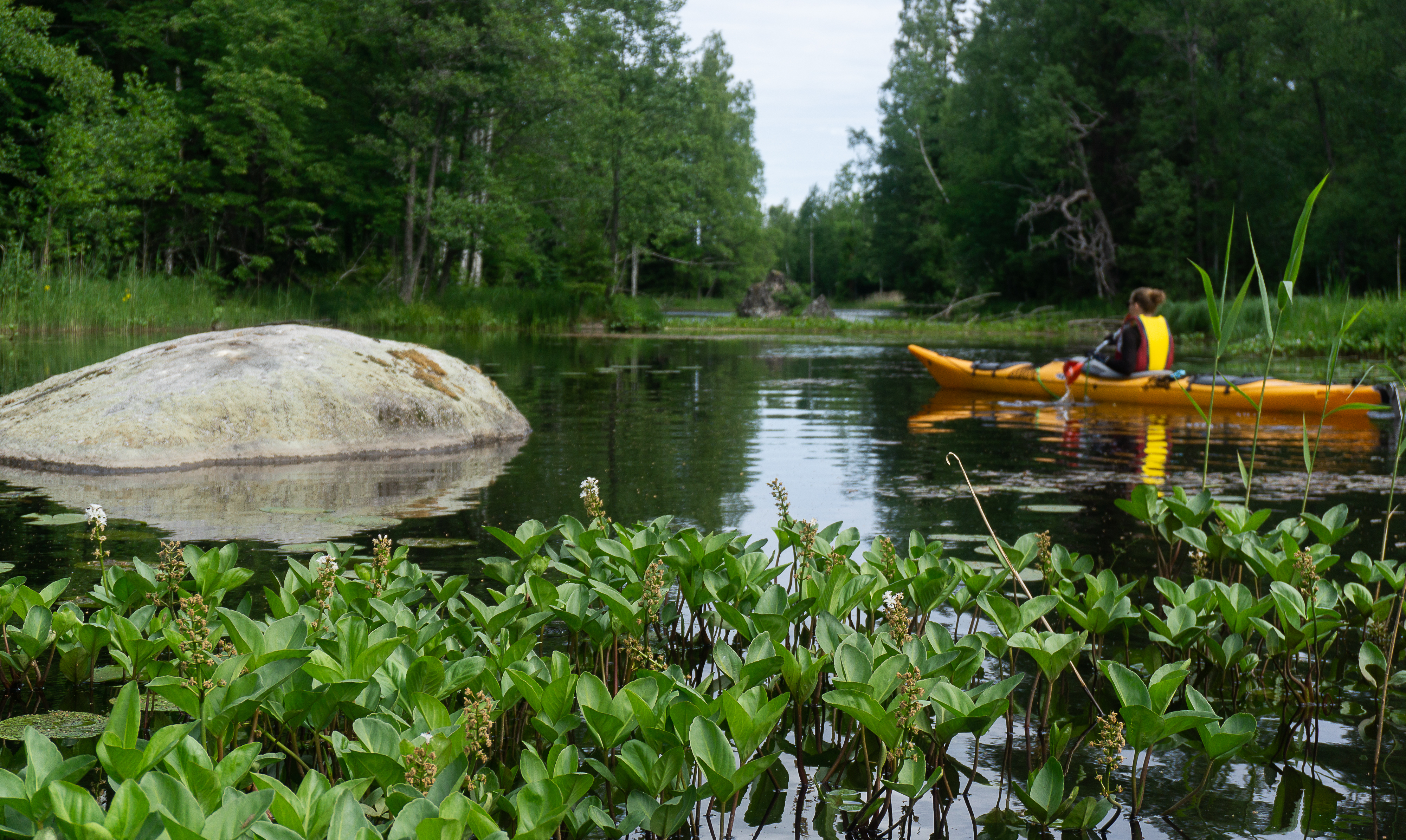Paddling Lilla Färnäset Foto Gunnika-08865