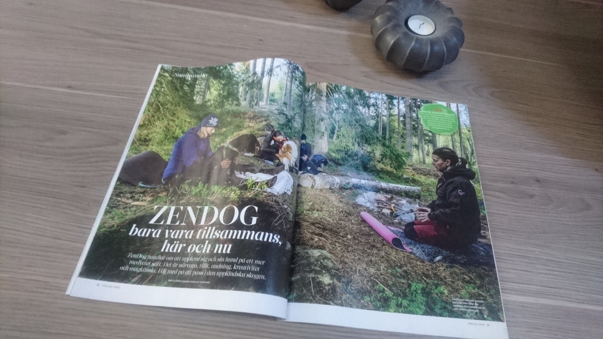 70301825_376742663275966_1886369023885574144_n