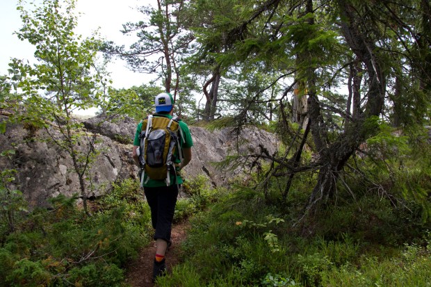 11 Vandrare Tullviksbäckens naturreservat 4230