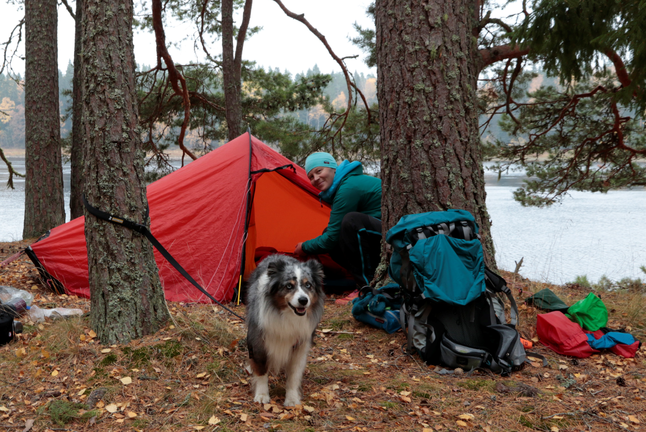 gunnika diesel tält