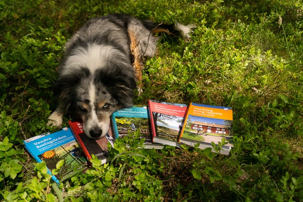 Diesel RL UL VIU GL VISS Foto Gunnika-01032